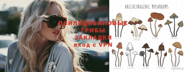 каннабис Верея