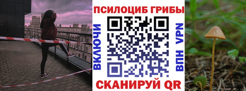 Галлюциногенные грибы Magic Shrooms  blacksprut   Гдов 