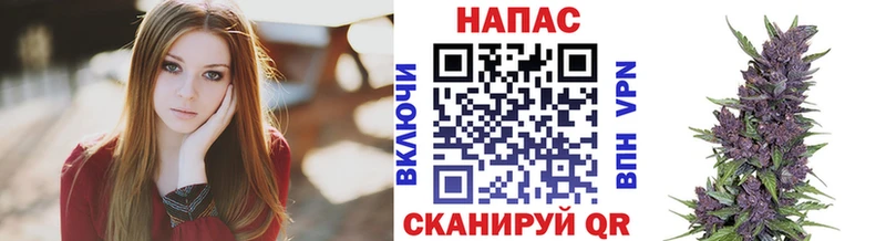 kraken ссылки  Гдов  Шишки марихуана планчик 